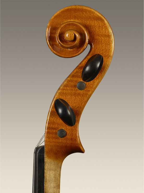 Alessandro Ciciliati Viola 2014