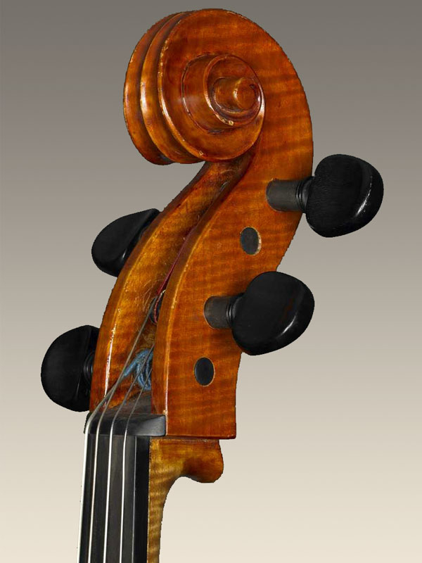 Cello Antonino Cavalazzi 1977